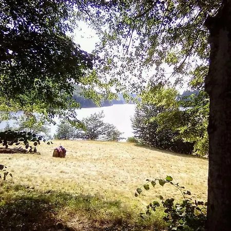 La Truite * Saint-Amans-Valtoret