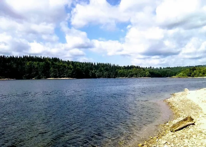 度假居 La Truite Saint-Amans-Valtoret