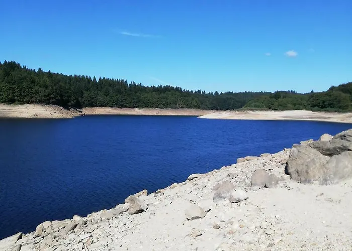 度假居 La Truite Saint-Amans-Valtoret