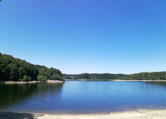 La Truite * Saint-Amans-Valtoret